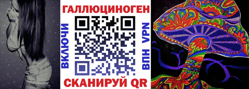 даркнет сайт  Киров  Галлюциногенные грибы Psilocybine cubensis 